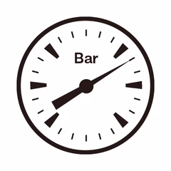 Pressure Gauges